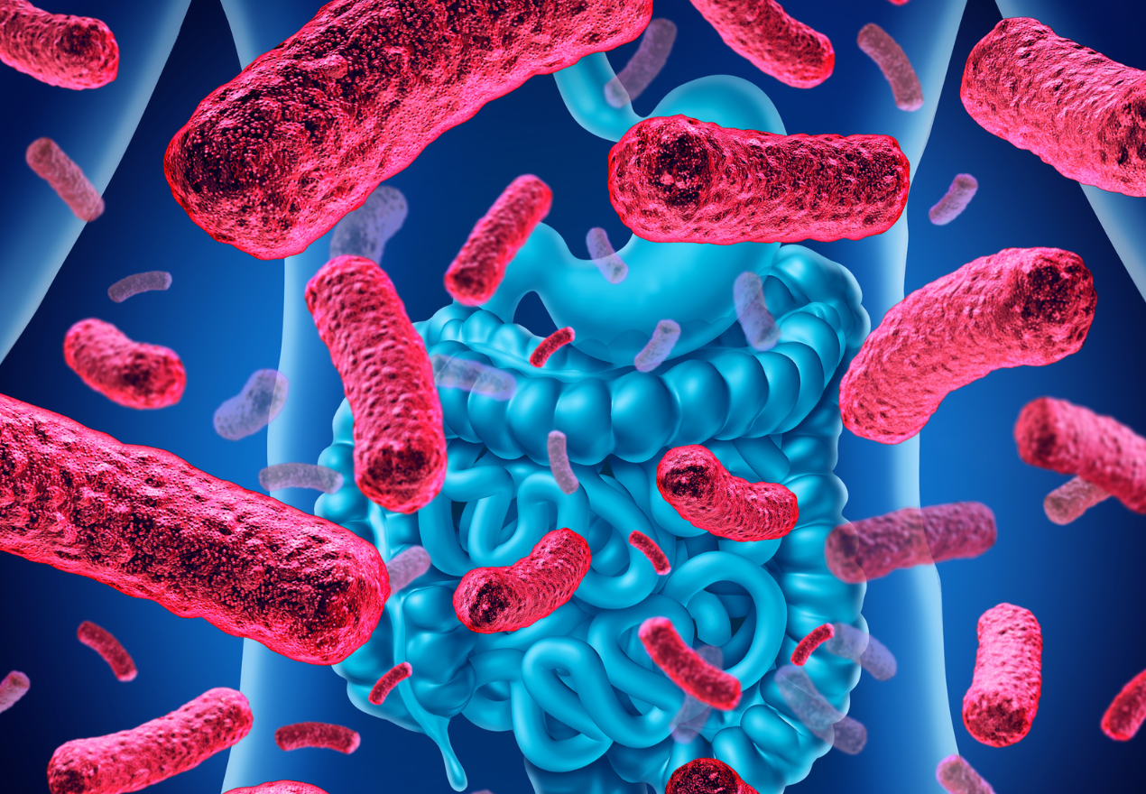 gut micriobiome